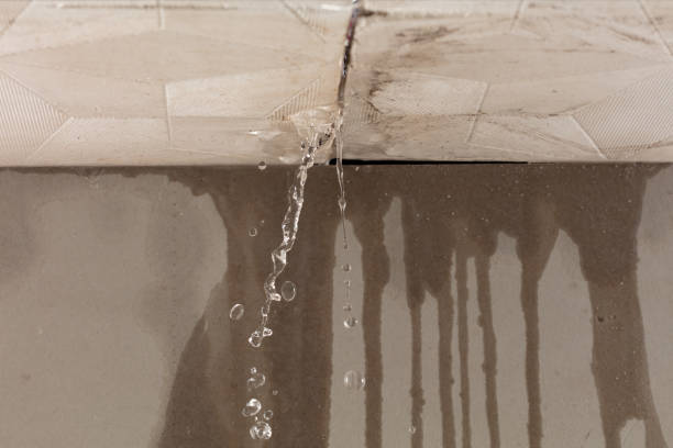 Professional Water Damage Repair technician working in Magnolia Springs, AL